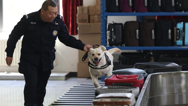 三位数买高奢,中产都在海关拍卖捡漏?